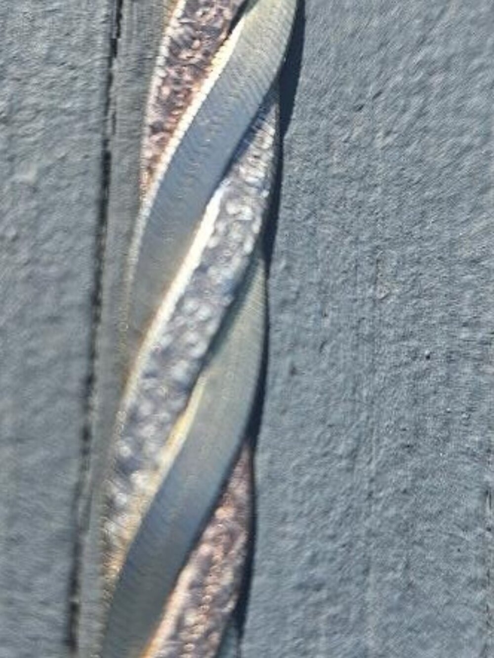 Tri - Color Sterling Italy Bracelet - Picture 12 of 12